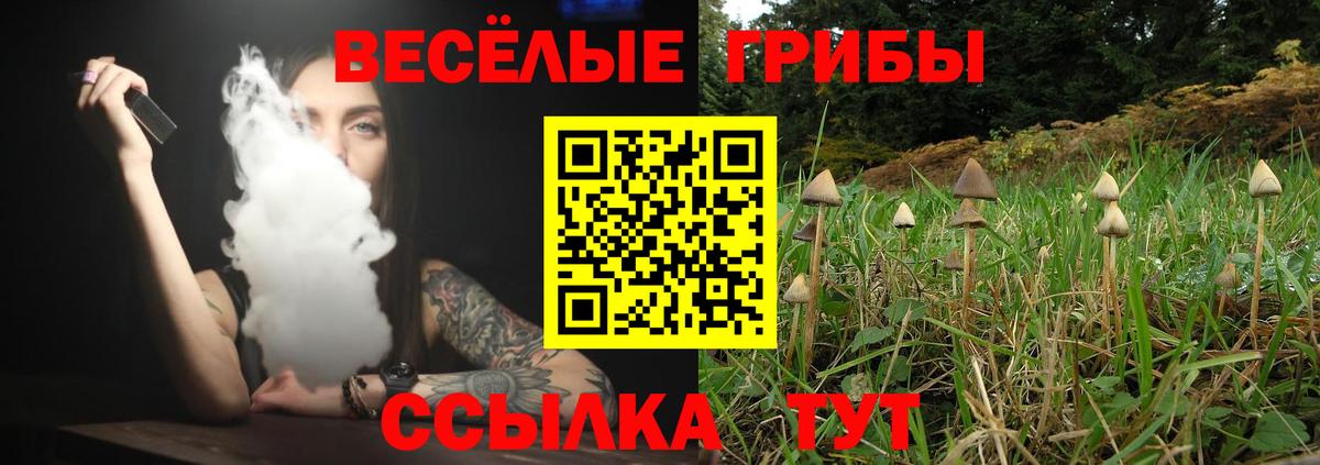 Галлюциногенные грибы прущие грибы Янаул